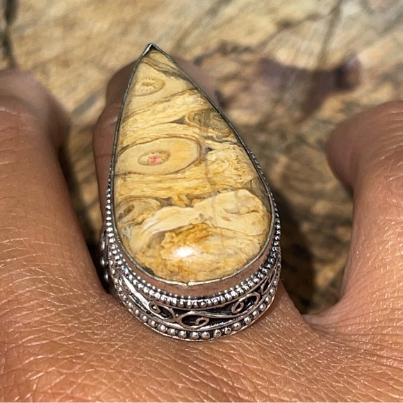 Landscape Picture Jasper Ring Size 8 - Picture 4 of 9